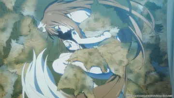 Backdrop for the TV series "Spice and Wolf: MERCHANT MEETS THE WISE WOLF" #1393436