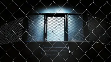 Backdrop for the TV series "The Cage" #1403648