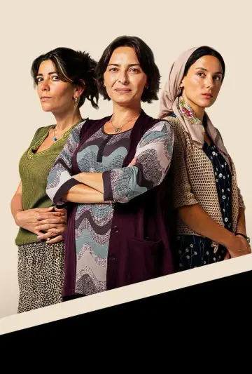 Poster for the TV series "Dirty Laundry" #1501931