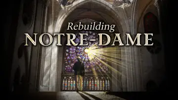 Backdrop for the TV series "Rebuilding Notre-Dame" #1557422