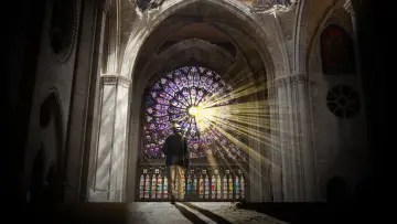 Backdrop for the TV series "Rebuilding Notre-Dame" #1557423