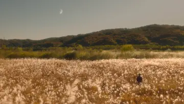 Backdrop for the TV series "In Your Radiant Season" #1478704