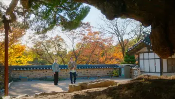Backdrop for the TV series "In Your Radiant Season" #1478709