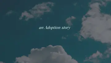 Backdrop for the TV series "An Adoption Story" #1790870