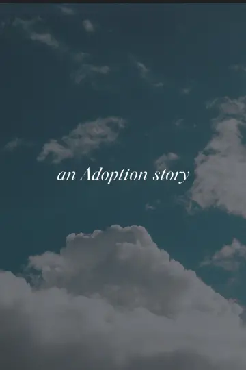 Poster for the TV series "An Adoption Story" #1790873