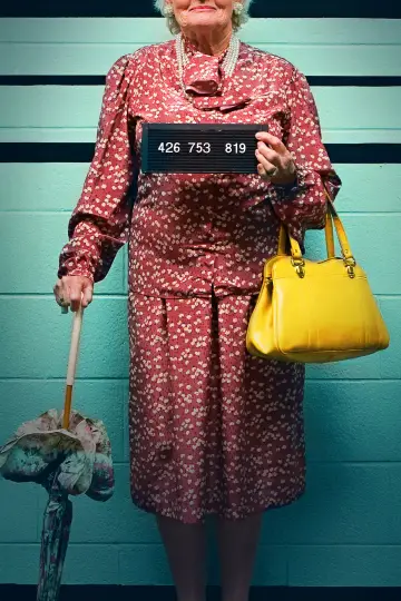 Poster for the TV series "My Strange Arrest" #1510968