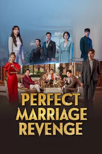 Poster for the TV series "Perfect Marriage Revenge" #1835323