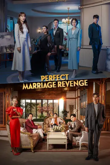Poster for the TV series "Perfect Marriage Revenge" #1835330