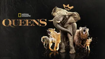 Backdrop for the TV series "Queens" #1851211