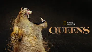 Backdrop for the TV series "Queens" #1851212