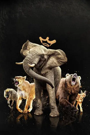 Poster for the TV series "Queens" #1851226