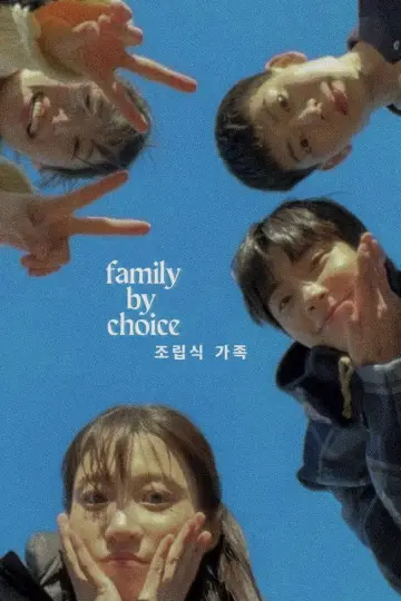 Poster for the TV series "Family by Choice" #1437446