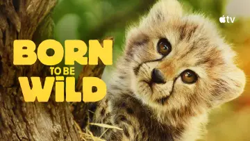Backdrop for the TV series "Born to Be Wild" #1503634