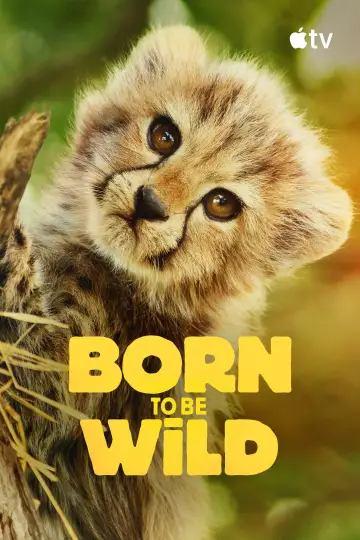 Poster for the TV series "Born to Be Wild" #1503653