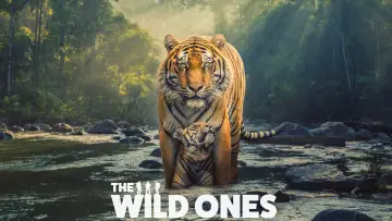 Backdrop for the TV series "The Wild Ones" #1884822