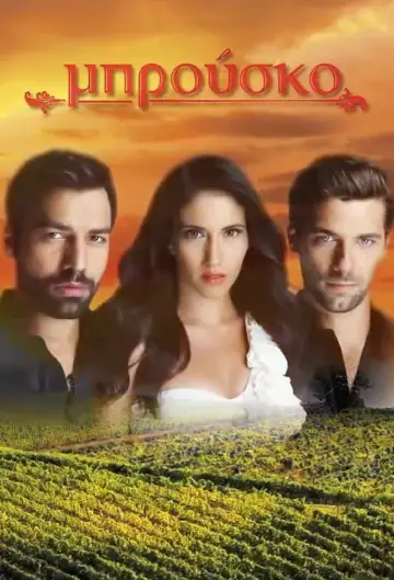 Poster for the TV series "Brousko" #1537755