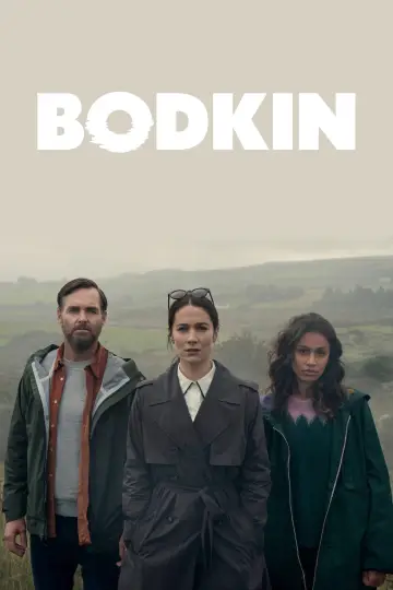 Poster for the TV series "Bodkin" #1821866