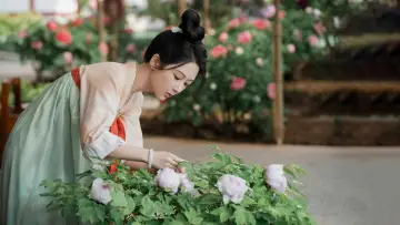 Backdrop к сериалу "Flourished Peony" #1473264