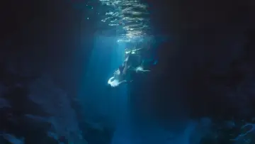 Backdrop for the TV series "Lover Merman" #1667089