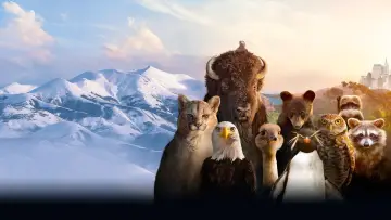 Backdrop к сериалу "The Americas" #1412445