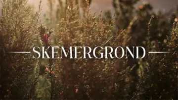 Backdrop for the TV series "Skemergrond" #1227259