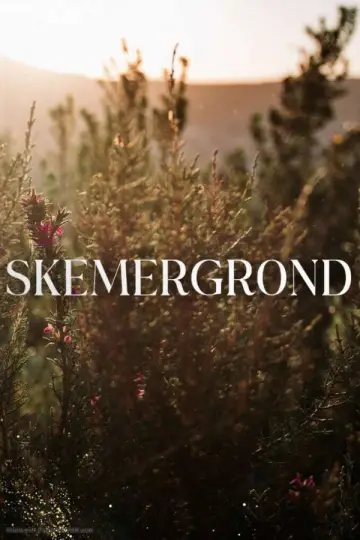Poster for the TV series "Skemergrond" #1227261