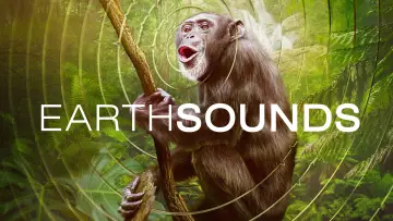 Backdrop for the TV series "Earthsounds" #1885246