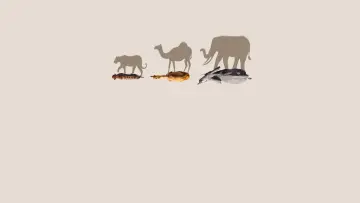 Backdrop for the TV series "Mammals" #1820264