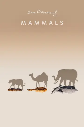 Poster for the TV series "Mammals" #1820272