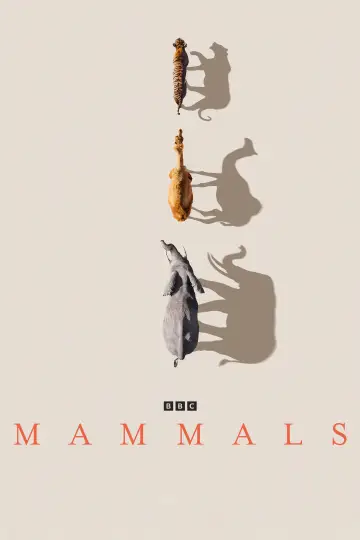 Poster for the TV series "Mammals" #1820275