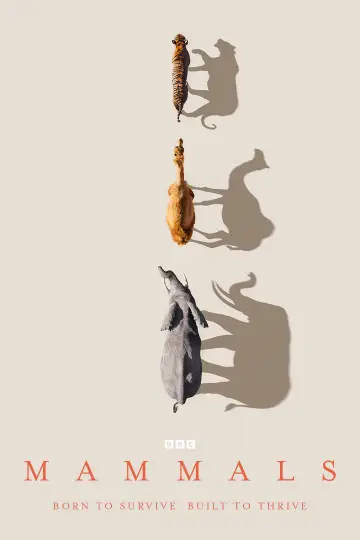 Poster for the TV series "Mammals" #1820277