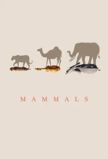 Poster for the TV series "Mammals" #1820279