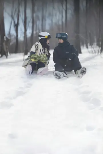 Poster for the TV series "Ski into Love" #1494406