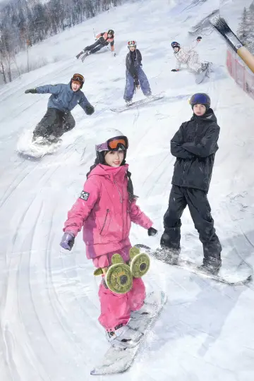Poster for the TV series "Ski into Love" #1494414