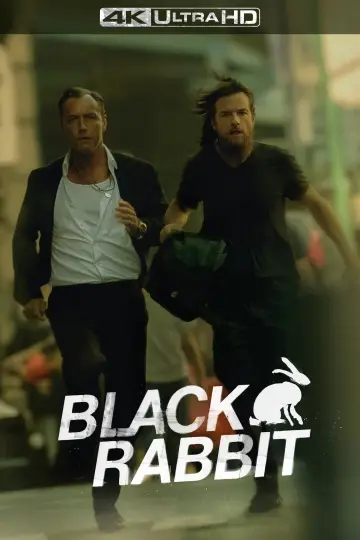 Poster for the TV series "Black Rabbit" #1373048