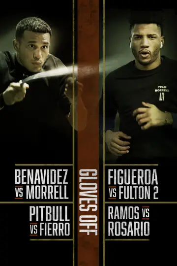 Poster for the TV series "Gloves Off" #1794961