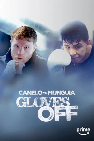 Poster for the TV series "Gloves Off" #1795066