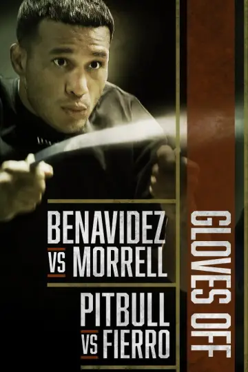 Poster for the TV series "Gloves Off" #1795071