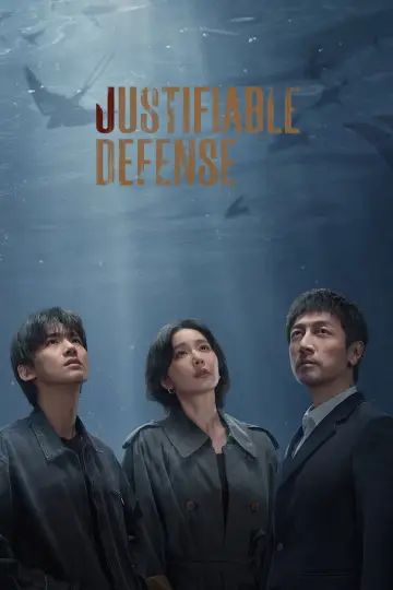 Poster for the TV series "Justifiable Defense" #1557204