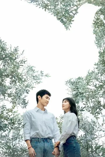 Poster к сериалу "The White Olive Tree" #1441075