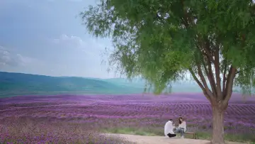 Backdrop for the TV series "A Beautiful Lie" #1602107