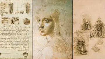 Backdrop for the TV series "Leonardo da Vinci" #1501503