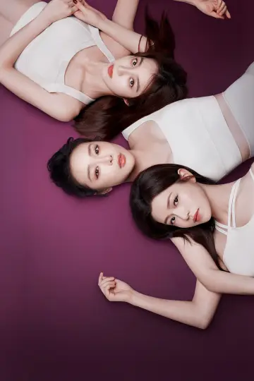 Poster for the TV series "Dear Enemy" #1667881