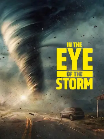 Poster for the TV series "In the Eye of the Storm" #1757961