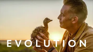 Backdrop for the TV series "Evolution" #1601090