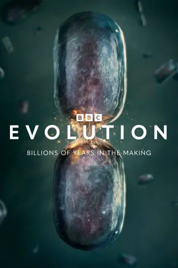 Series 1