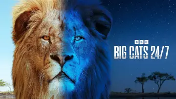 Backdrop for the TV series "Big Cats 24/7" #1491422