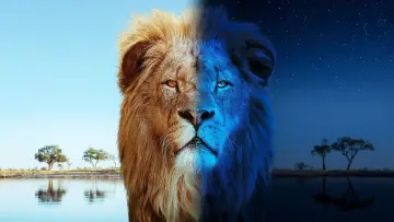 Backdrop for the TV series "Big Cats 24/7" #1491423