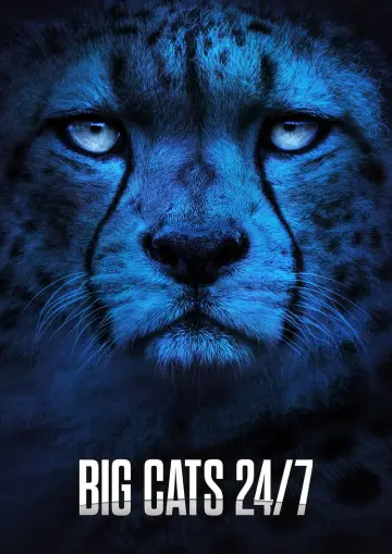 Poster for the TV series "Big Cats 24/7" #1491430