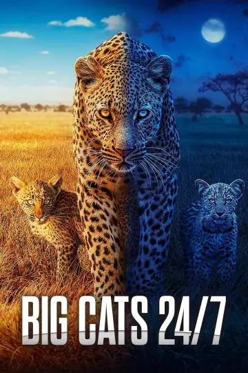 Series 2